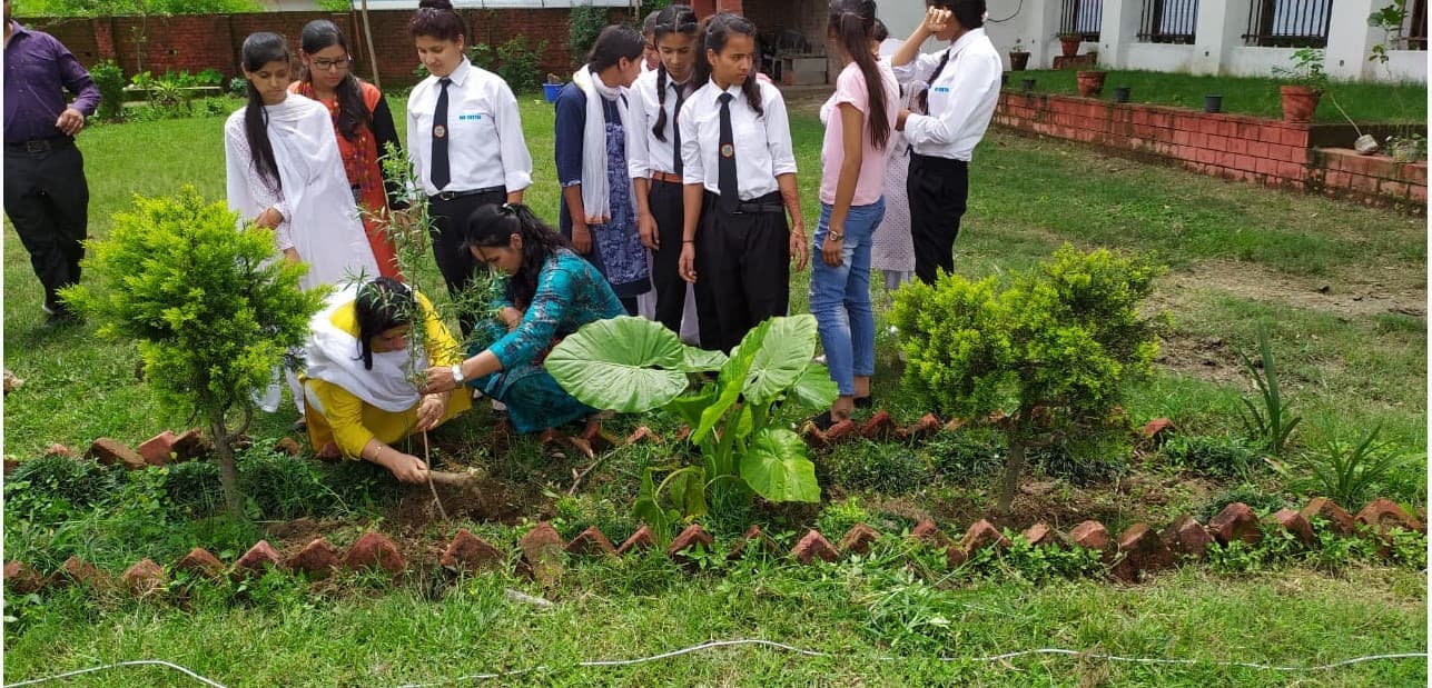 Nav Chetna College Dehradun Harela festival photo 5